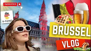 БРЮССЕЛЬ за 1 день - що цікавого?| Гастротур | де найдешевші равлики?| найкращий пив-бар Європи|