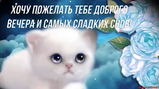 Доброго Вечера и Сладкой Ночи Тебе Желаю! Красивое Музыкальное Пожелание Доброй и Спокойной Ночи!