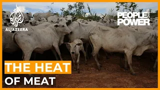 The Heat of Meat: Brazil’s beef industry and global warming | People and Power