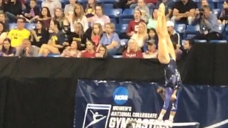 Alex Mcmurtry (Florida) Bars 2017 NCAA Semifinals 9.95