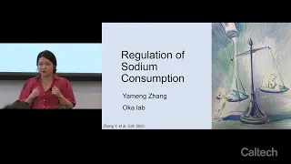 Yameng Zhang - Three Minute Thesis - 4/18/2024