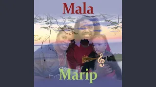 Mala marip