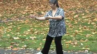 Yang Family tai chi long form third section