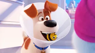 THE SECRET LIFE OF PETS 2 Clip - "Busy Bee" (2019)