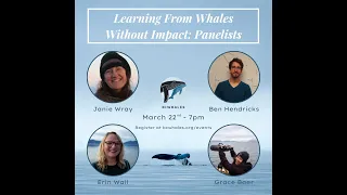 BC Whales Learning From Whales Without Impact Webinar 2024