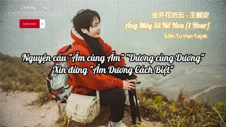 Áng Mây Sẽ Nở Hoa [1HOUR] - 会开花的云 || Edit Tử Hàn Tuyết || Vietsub