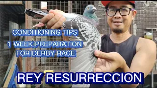 1 WEEK PREPARATION DERBY CONDITIONING TIPS PARA SA NEWBIE BY REY RESURRECCION.