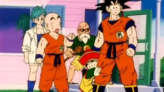 GOKU MEETS HIS ELDER BROTHER 'RADITZ'