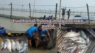 traditional fishing in laguna lake pukot Eps#1.  #talim angler ph