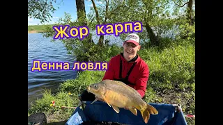 ПОПАЛИ НА ЖОР КОРОПА!РИБА ЛАМАЄ ПАЛКИ!Ловля карпа на флет