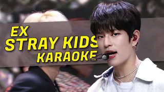 Stray Kids - 미친 놈 (Ex) KARAOKE with vocals (Color Coded Lyrics)