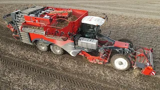 New Dewulf Enduro Harvesting potatoes 2023 | Scania DC13 Engine | Soil Saver Tires | Fill-Tastic 😎
