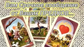 👼❗ВАМ СРОЧНОЕ СООБЩЕНИЕ ОТ ВАШИХ ПРЕДКОВ...🍀♥️ Гадание Таро