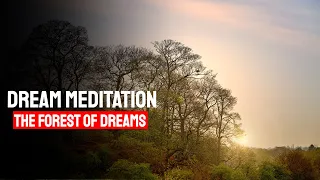 Dream Walking Guided Meditation - Guided Sleep Meditation: The Forest Of Peace And Relaxation.