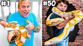 50 Tips For Better Handling Your Reptile in 50 Hours!