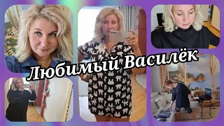 ❗ Любимый Василёк Примерка одежды plus size Доступно и БЮДЖЕТНО❗