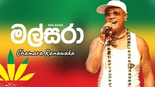 Malsara ( මල්සරා ) Chamara Ramawaka | New Reggae Song 2023