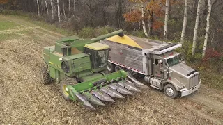 Combining Corn 2021 || Smith's Stock Farms