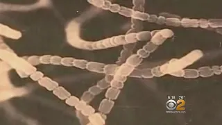 This Bacteria Could Become NJ's Official State Microbe