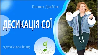 Технологія вирощування сої. Десикація: особливості проведення. Частина 8.