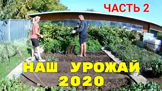 Our harvest in 2020 PART 2