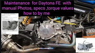 Daytona anima FE maintenance how to guide on the basics