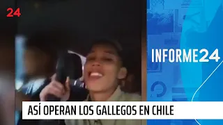Informe 24: empresa del delito, así operaban Los Gallegos en Chile | 24 Horas TVN Chile