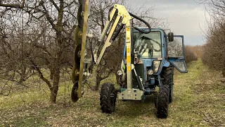 Mtz 82 / almafák metszése géppel.