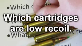 Low Recoil Rifles and Ammo