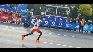 Zieleinlauf beim Berlin Marathon 2022 vom Besten Läufer Eliud Kipchoge