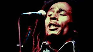 "Kinky Reggae": Bob Marley & The Wailers - Hallenstadion, Zurich, 5-30-1980