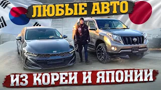 🇰🇷ИЗ КОРЕИ И ЯПОНИИ🇯🇵, ЛЮБЫЕ АВТОМОБИЛИ‼️KIA K5🔥PRADO🔥ACCORD CR7🔥TUCSON🔥