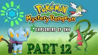 Pokemon Mystery Dungeon Explorers Of Sky Part 12: Amp Plains