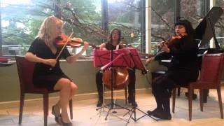 Aurora Strings - A Thousand Years (Christina Perri)