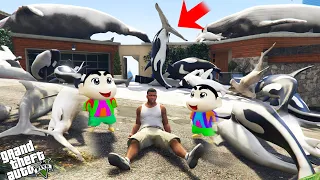 GTA 5 : Franklin Find A Lot Of Fishes In His House In GTA 5 ! (GTA 5 Mods)