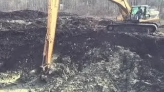 Mastodon found in Michigan backyard