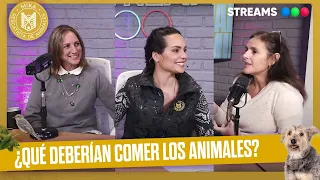 🐤 MIKA RESCATISTA DE ANIMALES, ¡EL PRIMER STREAM SOBRE ANIMALES!