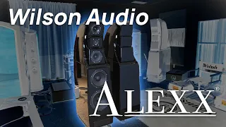 The Wilson Audio ALEXX came in a Pre-Owned Haul!?