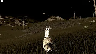 Wolf vs bear [ Yellowstone Unleashed ]