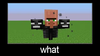 Minecraft wait what meme part 47 (Villager Wither)