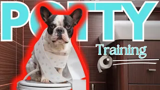 The Ultimate Guide to POTTY TRAINING Your Dog or Puppy