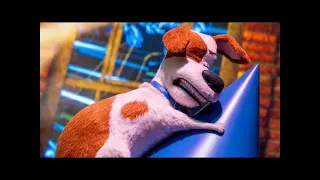 Secret Life Of Pets Full Ride & Queue Walkthrough Experience. Universal Studios Hollywood