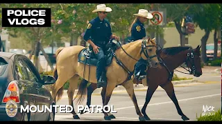 POLICE VLOGS: Mounted Patrol Davie Police Department