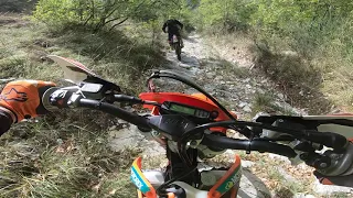 KTM 300 EXC TPI -Enduro in the forest !