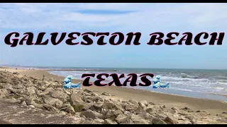 Walking in Galveston Beach in Galveston, Texas USA