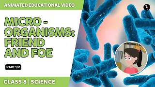 Microorganisms - Friend And Foe | Part 1/2 | NCERT Science Class 8 Chapter 2 | English Explanation