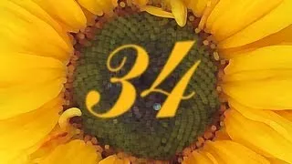 Problematic Sunflower - Numberphile