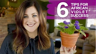6 Tips for African Violet Success // Garden Answer