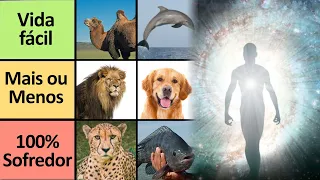 Qual o melhor animal pra REINCARNAR na próxima vida?