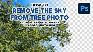 How to Remove the Sky from a Tree Photo in Adobe Photoshop | #cadillacartoonz